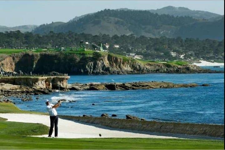 Private Carmel, Monterey & Big Sur Day Tour from San Francisco — 10-Hour Coastal Drive photo 2