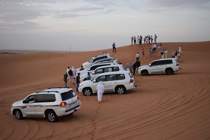 Evening Desert Safari in Dubai: 6-Hour Private Dune Bashing & BBQ Dinner photo 6