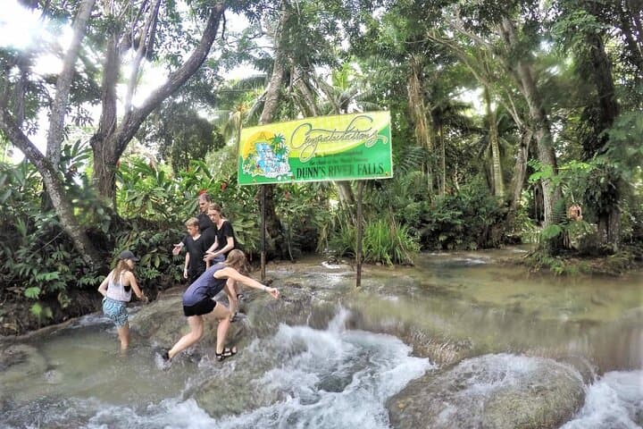 Falmouth Shore Excursion: Zipline Canopy and Dunn's River Falls Guided Tour photo 4
