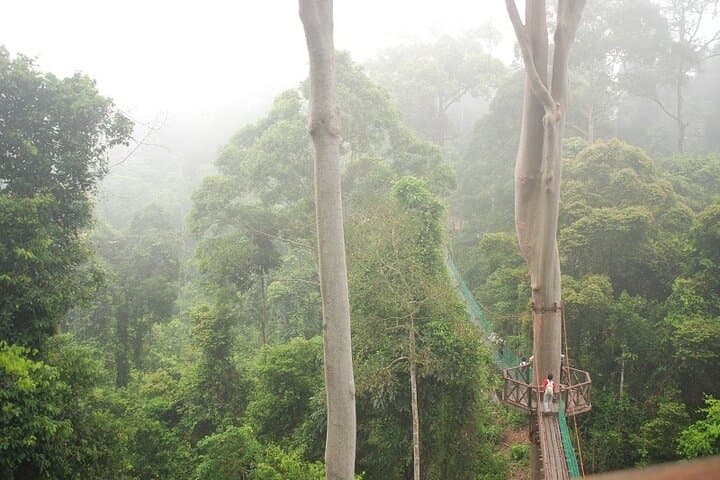 3-Day Danum Valley Rainforest Trek & Wildlife Lodge Adventure photo 3
