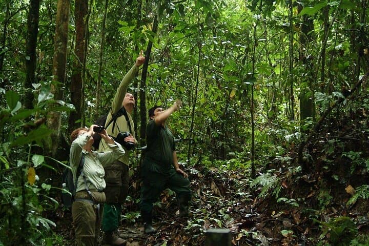 3-Day Danum Valley Rainforest Trek & Wildlife Lodge Adventure photo 4