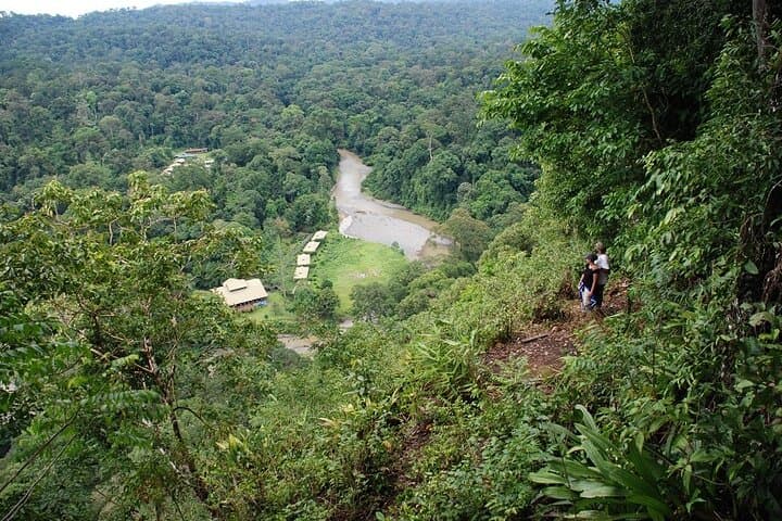 3-Day Danum Valley Rainforest Trek & Wildlife Lodge Adventure photo 5