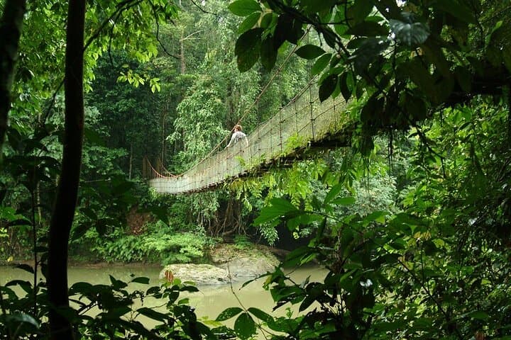 3-Day Danum Valley Rainforest Trek & Wildlife Lodge Adventure photo 6