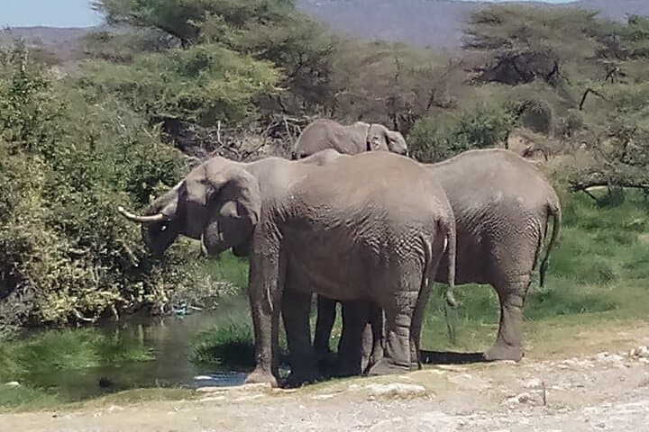 5-Day Kenya Safari: Samburu, Lake Nakuru, Hells Gate & Lake Naivasha photo 2