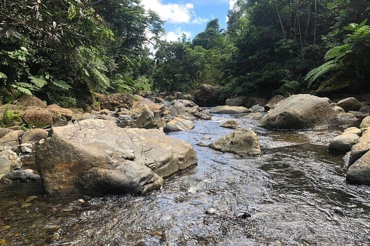 El Yunque and Luquillo Beach Day Trip: Swim the Mameyes, Climb Yokahú Tower & Eat at the Kiosks photo 6