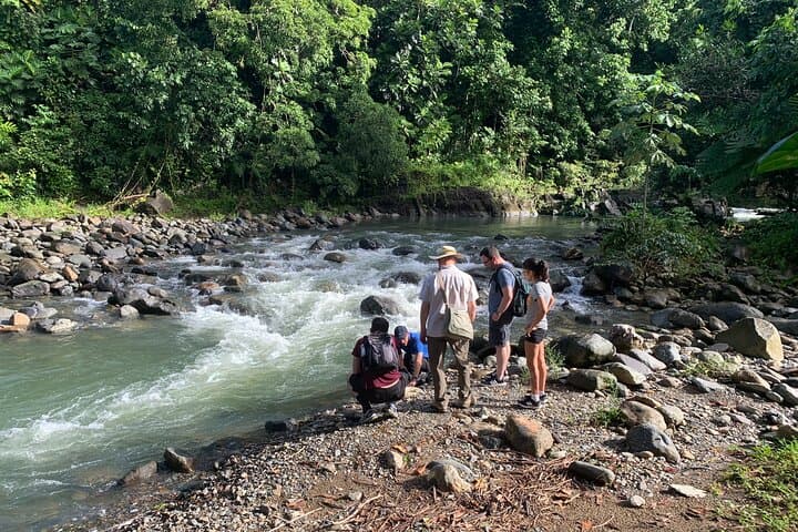 El Yunque and Luquillo Beach Day Trip: Swim the Mameyes, Climb Yokahú Tower & Eat at the Kiosks photo 2