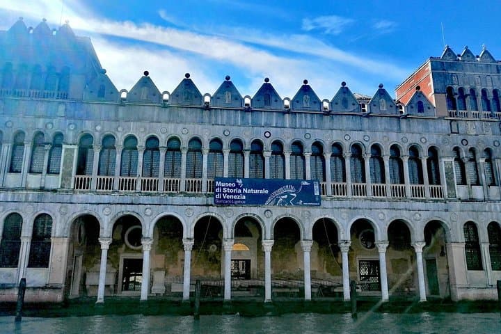 Inside Venice’s Natural History Museum: Private Guided Tour of Fossils, Fauna, and Local Science