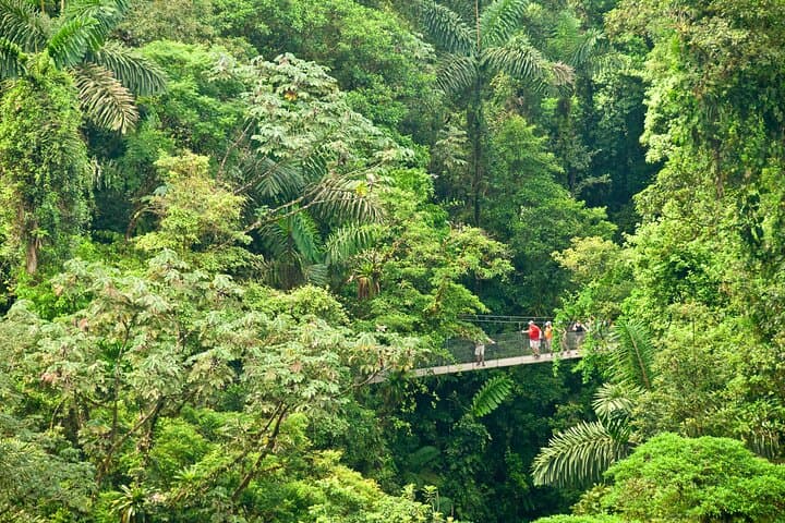 Arenal City Pass: Volcano, Waterfall & Hanging Bridges Self-Guided Day Pass photo 4