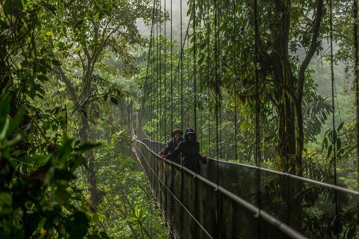 Arenal City Pass: Volcano, Waterfall & Hanging Bridges Self-Guided Day Pass photo 2