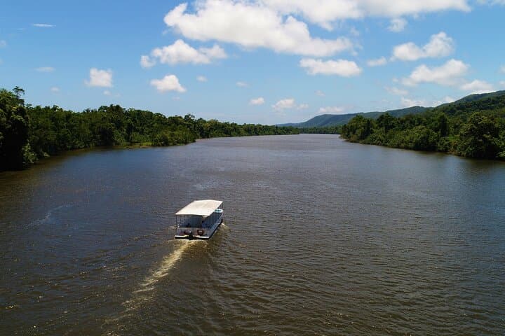 Daintree River Wildlife Cruise: Ultimate Rainforest Experience Guide