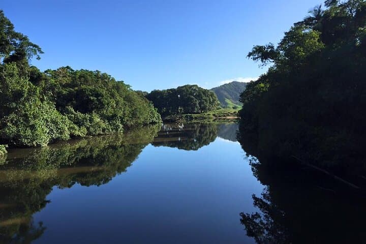 Daintree River Wildlife Cruise: Ultimate Rainforest Experience Guide photo 2