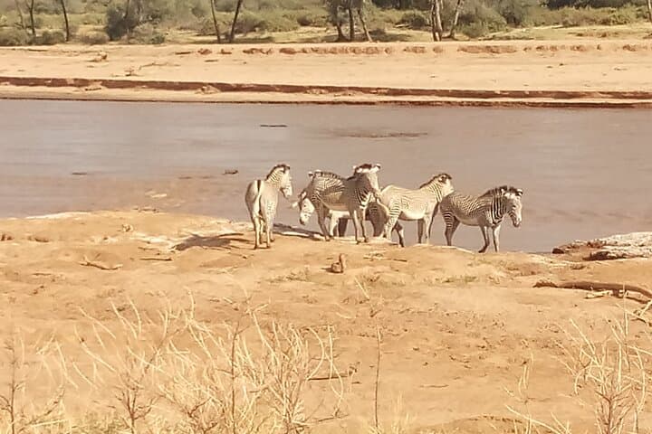 5-Day Safari: Samburu, Ol Pejeta, Hell's Gate & Lake Naivasha from Nairobi photo 2