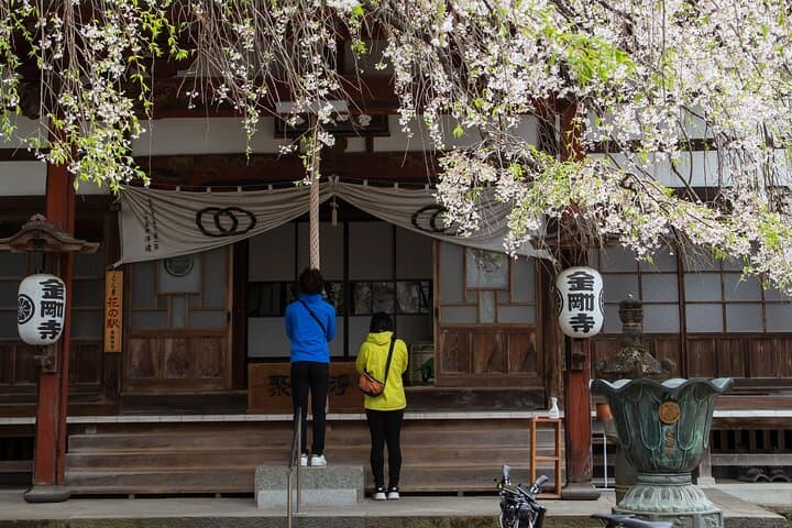 Akagi Countryside E-Bike Tour: Maebashi Rice Fields, Shrines & Brewery photo 2