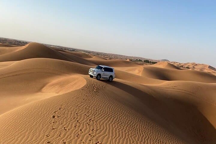 Dubai Desert Safari: Red Dunes 4x4 Dune Bashing, Camel Rides & Falconry photo 5