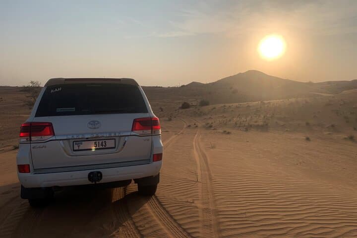 Dubai Desert Safari: Red Dunes 4x4 Dune Bashing, Camel Rides & Falconry photo 6