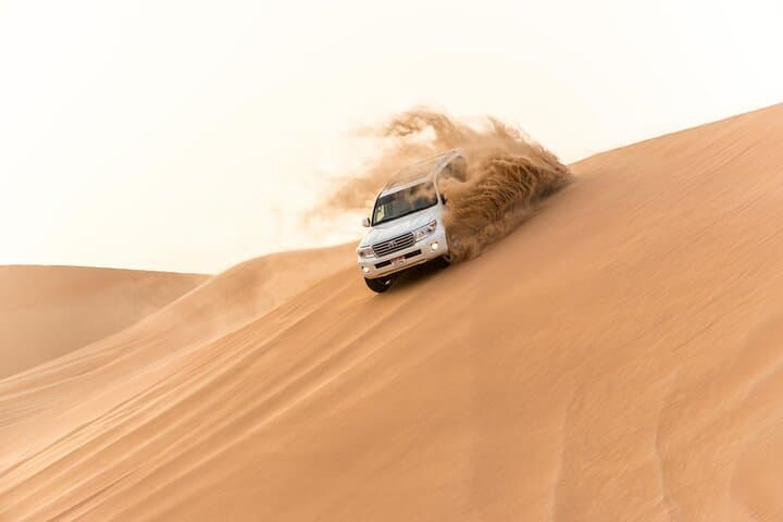 Dubai Desert Safari: Red Dunes 4x4 Dune Bashing, Camel Rides & Falconry