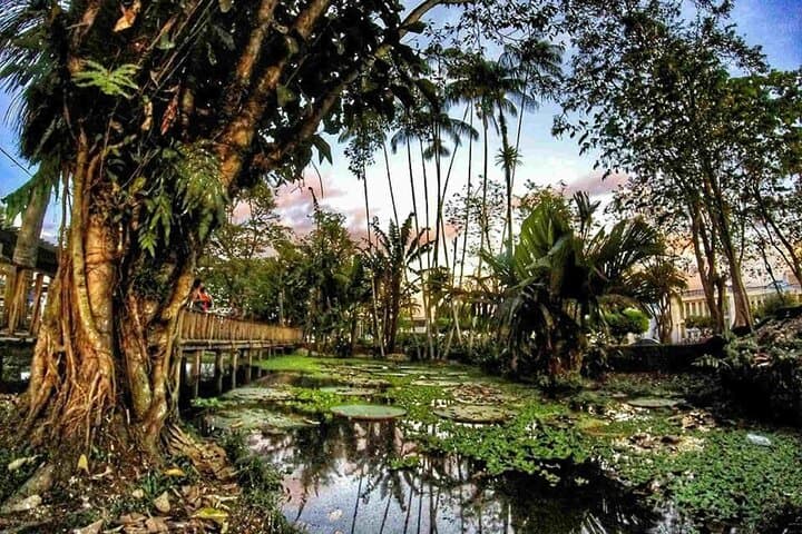 11-Day Colombia: Amazon Jungle to Pacific Whale-Watching Adventure