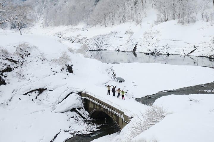 Kinshu Lake Private Snow Trekking: Kanjiki Snowshoe Walk on Kinshuko (Iwate)