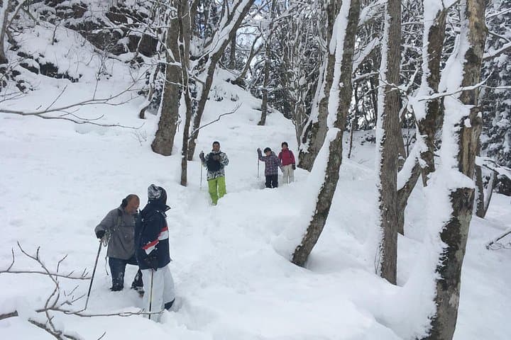 Icicle Trekking in Nishiwaga: Winter Hike to Giant Icicles photo 2