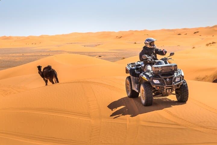 Red-Dune Desert Safari Dubai: Evening Dune Bashing, Camel Ride & BBQ photo 4