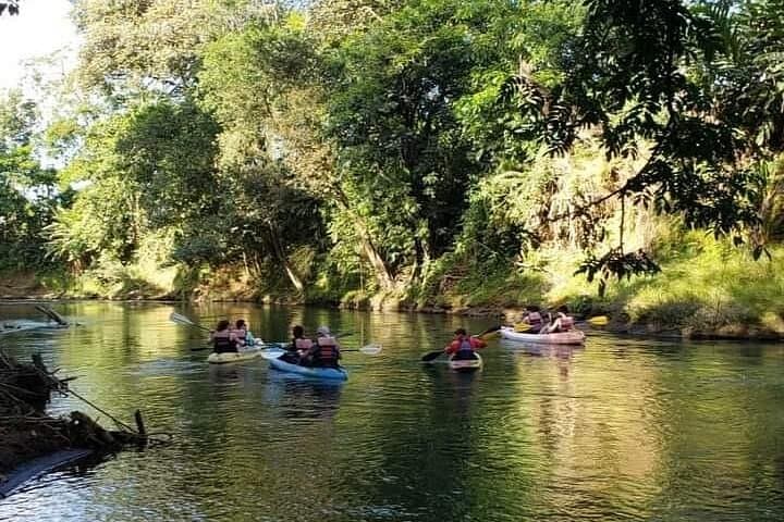 Peñas Blancas Kayak Wildlife Safari from La Fortuna photo 6