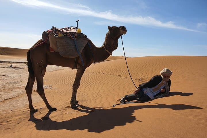 7-Day Private Camel Trekking in Morocco: M'hamid to Erg Chegaga Desert Expedition photo 2