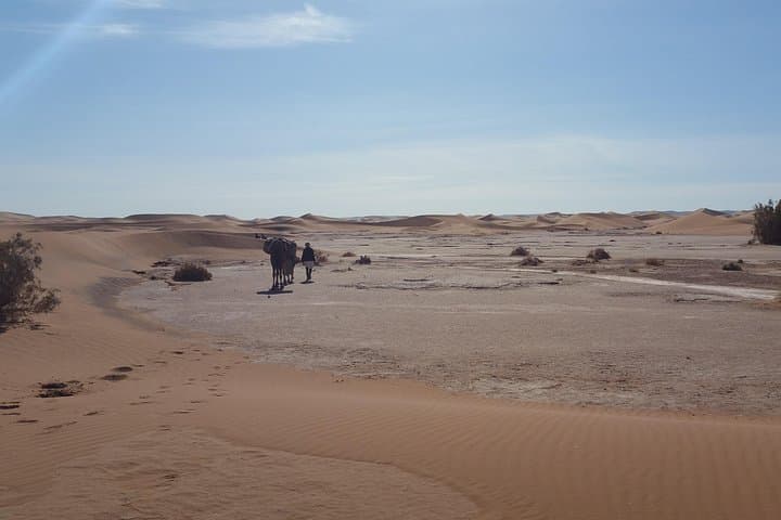 7-Day Private Camel Trekking in Morocco: M'hamid to Erg Chegaga Desert Expedition photo 4