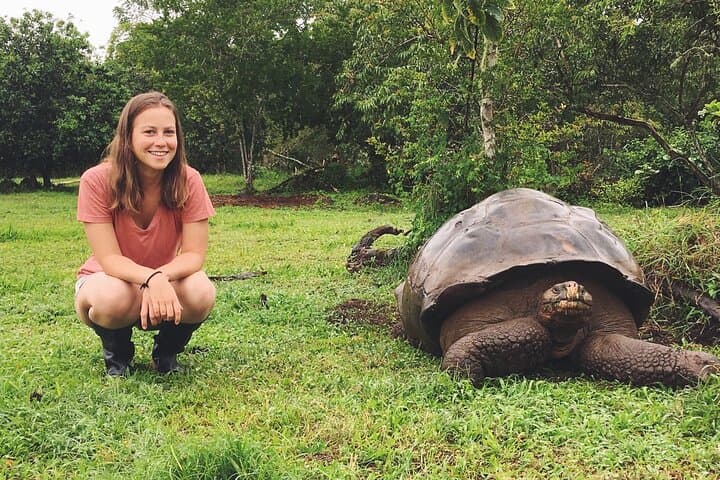 7-Day Luxury Galapagos Safari: Kicker Rock, Los Tuneles & Giant Tortoises photo 3