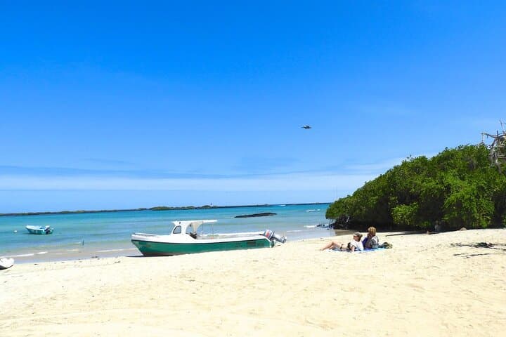 7-Day Luxury Galapagos Safari: Kicker Rock, Los Tuneles & Giant Tortoises photo 4
