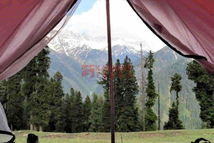 Kolahoi Glacier Trek: 6-Day High-Altitude Crossing from Sonamarg to Lidder Valley photo 2