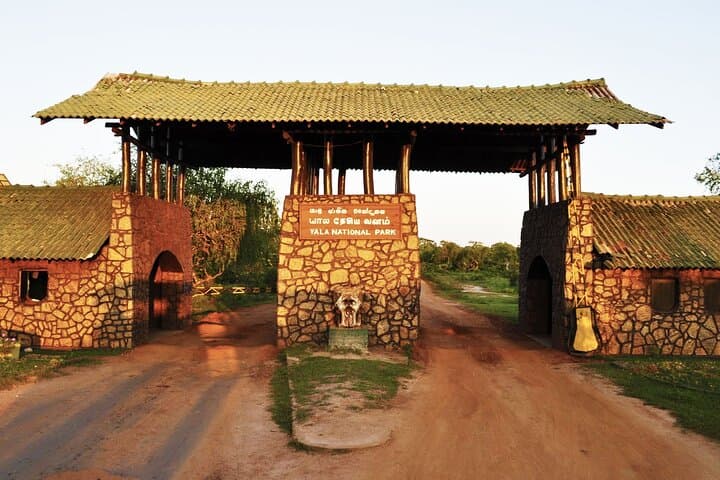 Yala National Park Safari: Private Jeep Tour to See Leopards & Elephants photo 1