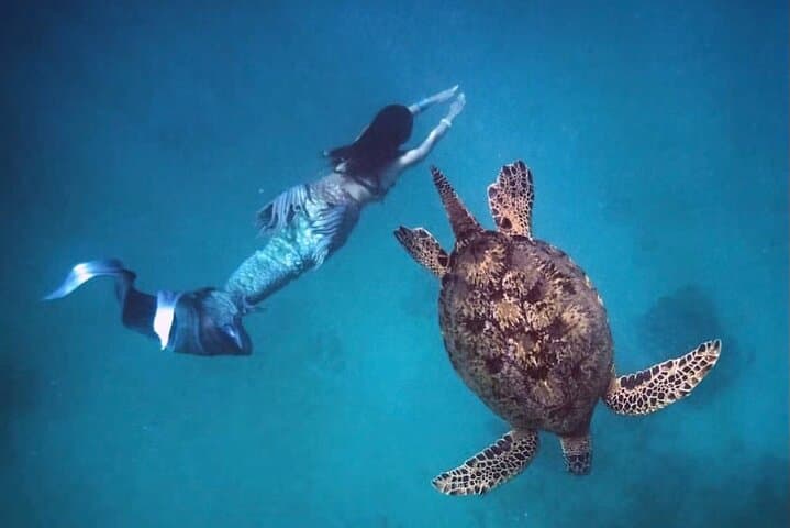Moana Waikīkī Sunrise Snorkel: Catamaran Tour to Diamond Head & Turtle Country photo 1