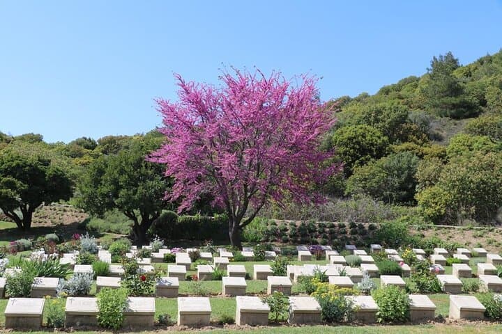 Gallipoli Tour from Eceabat — Guided ANZAC & WWI Battlefields Day Tour photo 2