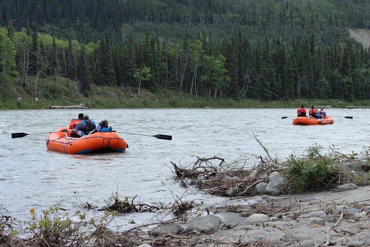 Denali Rafting on the Nenana River: A Wild Float Along Denali National Park’s Edge photo 5