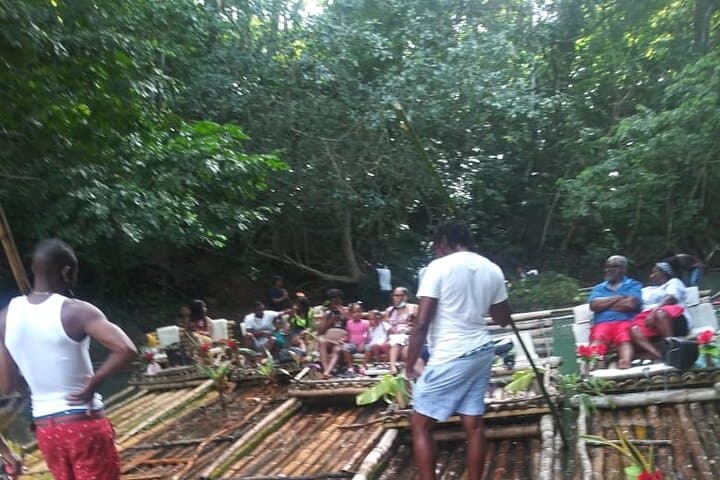 Explore Ocho Rios: Private Sightseeing Tour with Fern Gully & Jerk Lunch photo 5