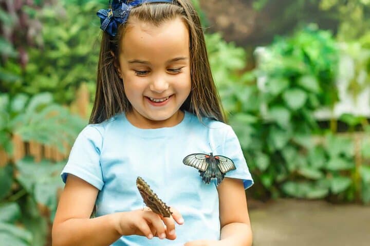 Inside Dubai Butterfly Garden: Climate-Controlled Domes, 15,000 Butterflies & Practical Tips photo 5