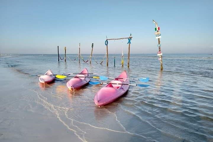 Paddling the Mangroves: Kayak Experience in Holbox Island photo 6