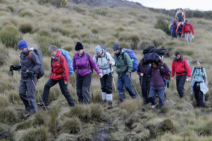 7-Day Machame Route Kilimanjaro Climb — Whiskey Route Summit Push photo 2