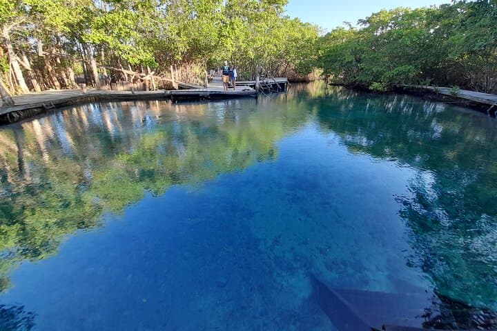 Holbox Three-Island Boat Tour: Isla Pájaros, Isla Pasión & Yalahau Cenote photo 1