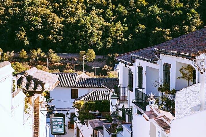 Explore Granada: Albayzín & Sacromonte Walking Tour with Alhambra Views photo 5