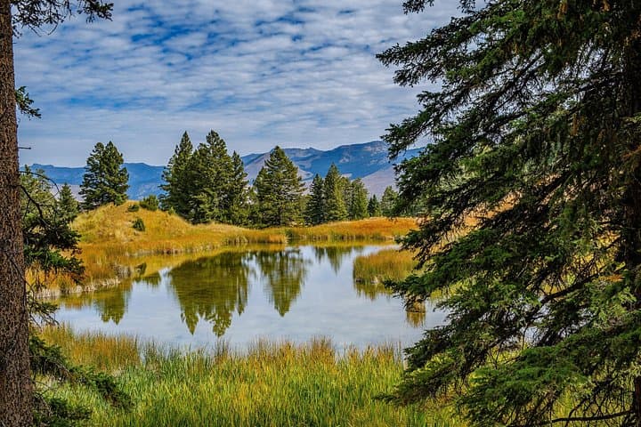 Private Full-Day Yellowstone Hike from Jackson — Custom Geyser, Canyon & Wildlife Tour