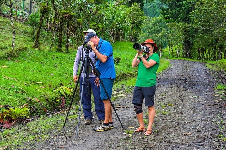Birdwatching Walk from La Fortuna: Guided Morning Tour by Arenal photo 3