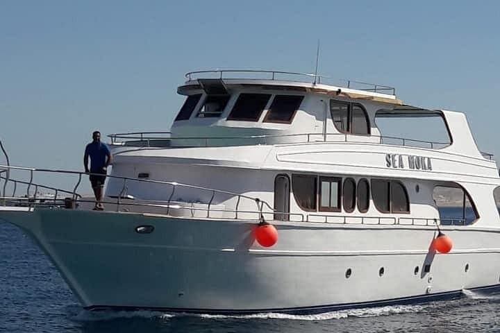 Orange Bay Island Day Trip from Hurghada: Snorkel, Swim & Beach Relaxation photo 1