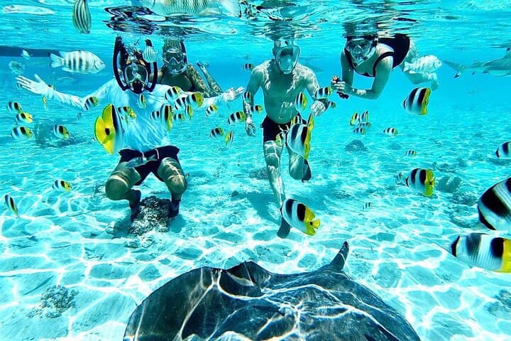 Bora Bora Half-Day Lagoon Tour: Snorkel Rays, Coral Gardens & Sharks photo 2