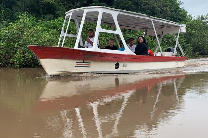 Palo Verde Boat Tour: Tempisque River Wildlife Cruise from Liberia