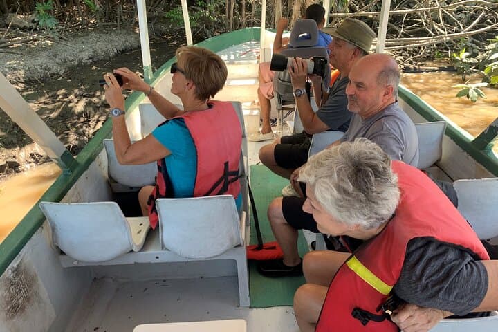 Palo Verde Boat Tour: Tempisque River Wildlife Cruise from Liberia photo 6