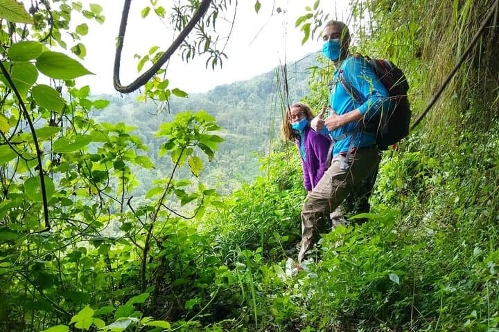 Mount Bisoke One-Day Hike from Kigali — Summit the Crater Lake in Volcanoes National Park photo 2