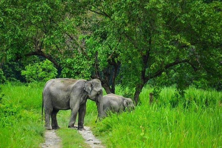 Akagera One-Day Game Drive: Lake Ihema Wildlife Safari from Kigali photo 4