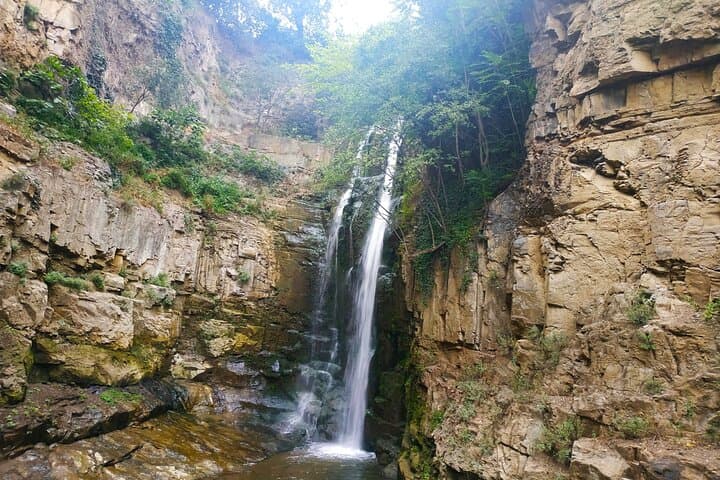Georgia Birdwatching Tour: 11-Day Tbilisi to National Parks Birding Itinerary photo 6