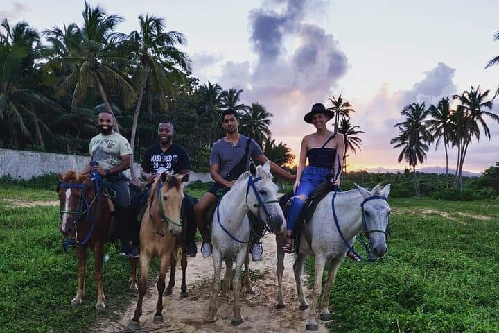Sunset Horseback Riding on Macao Beach, Punta Cana — Private 2-Hour Experience photo 3